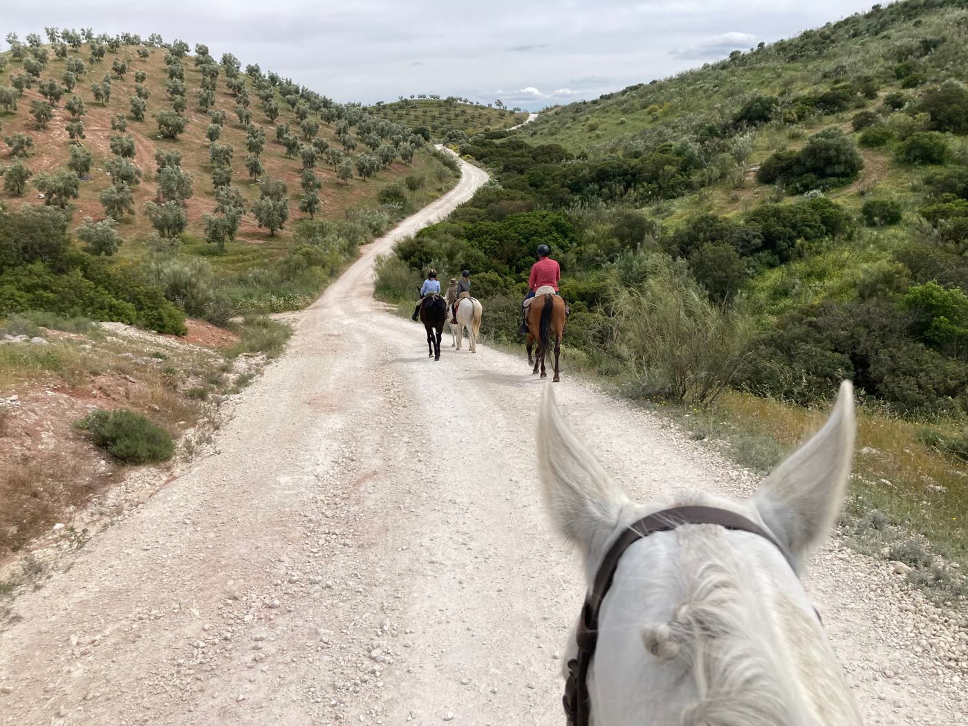 Ausritt auf einem Feldweg auf Mallorca