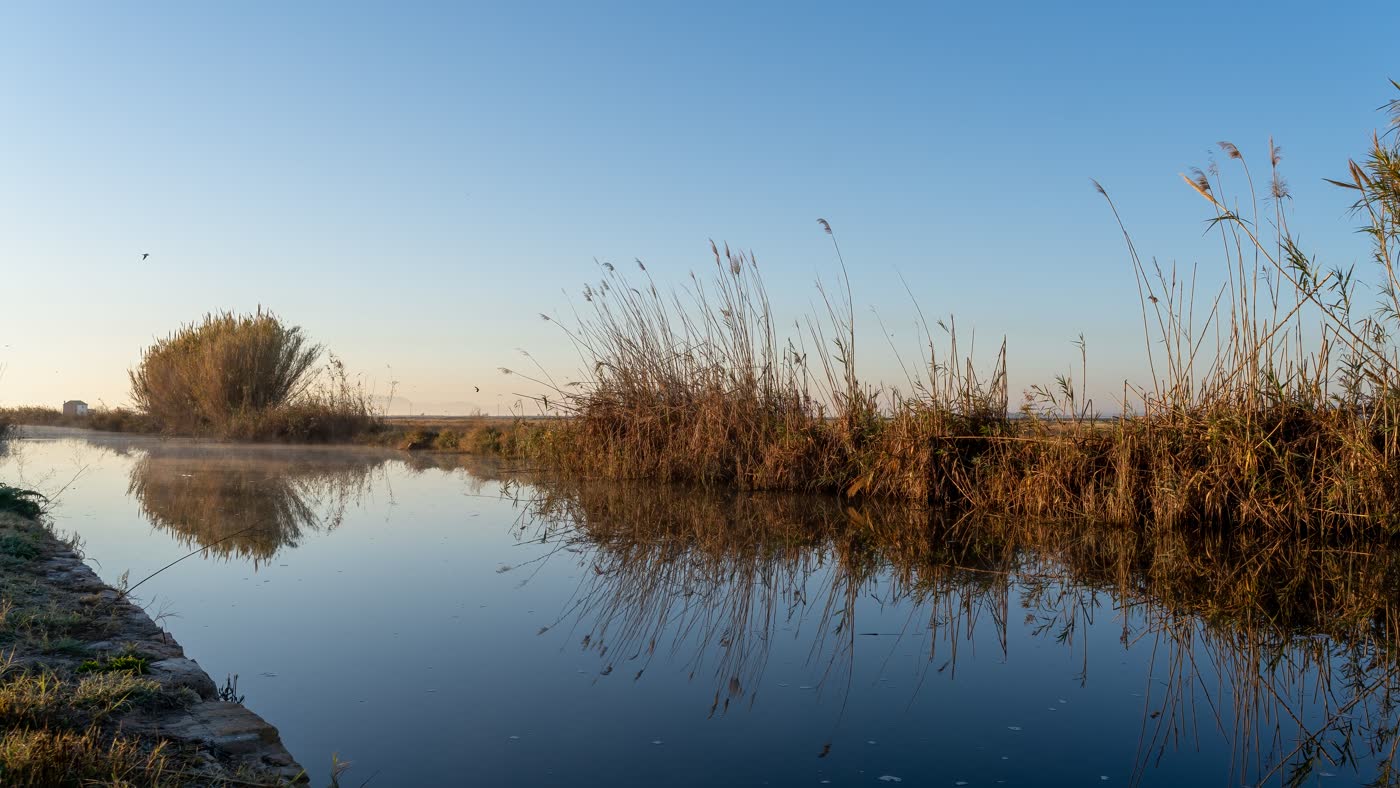 Naturpark S'Albufera, Feuchtgebiet im Norden Mallorcas